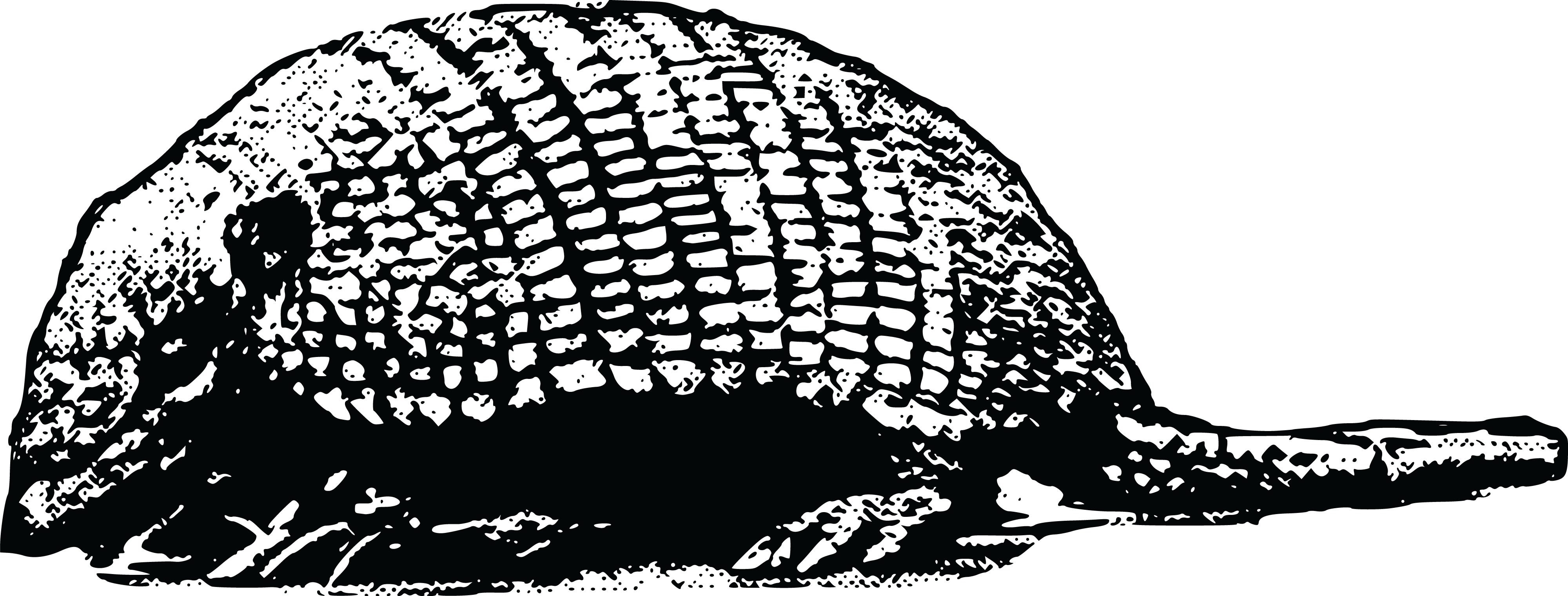 , , - Portable Network Graphics (4000x1521), Png Download