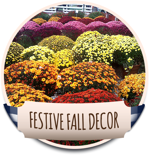 The U Pick Pumpkin Patch At Debuck's Corn Maze & Pick - Howell's (510x510), Png Download