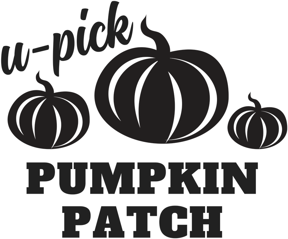 My Latest Videos - Cookie (1056x816), Png Download