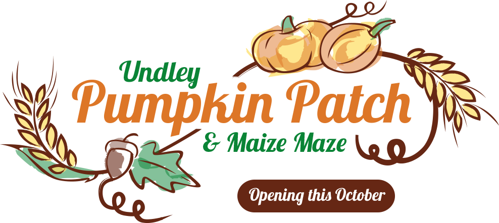 Undley Pumpkin Patch & Maize Maze - Actiepagina (988x442), Png Download