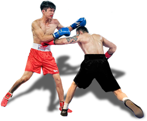 Professional Boxing (600x401), Png Download