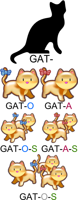 Source, Flexióngato - Masculine And Feminine Gender Plural Form (250x650), Png Download