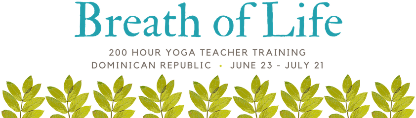 Breath Of Life - Calligraphy (980x315), Png Download