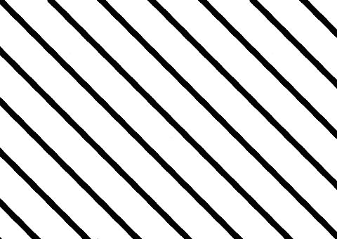 The Long Lines With The Hatches On Them Don't Appear - Illusion Lines (480x340), Png Download