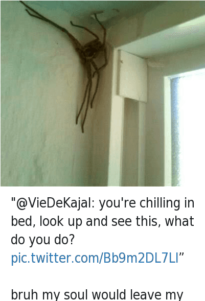 Bruh, Chill, And Ups - My Soul Would Leave My Body (400x608), Png Download