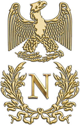 Total War - Napoleon Total War Logo (286x449), Png Download