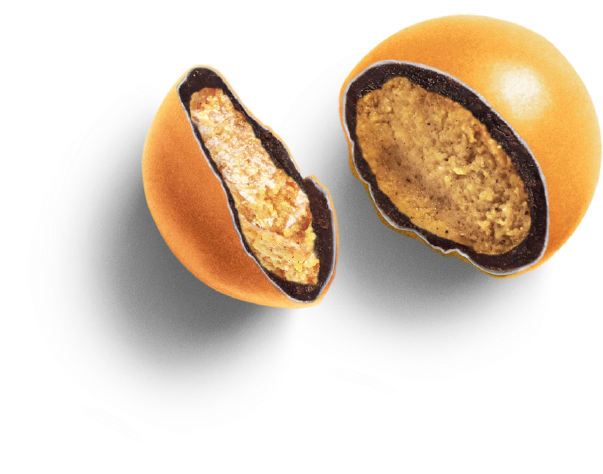 Chestnut (850x500), Png Download