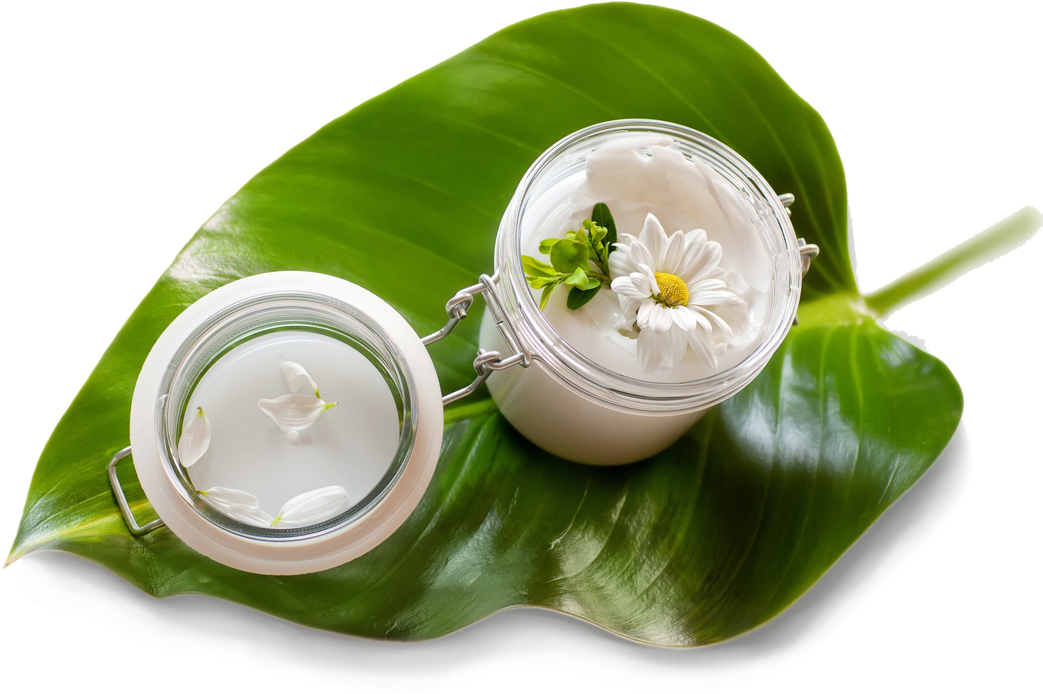 The Line Is Fully Compatible With Any Age And Brings - Halal Ingredients In Cosmetics (1732x1155), Png Download