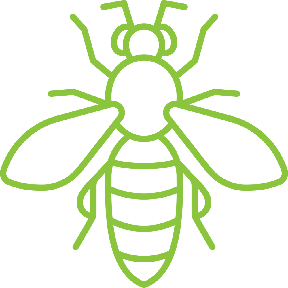 Alta Wasp Icon - Bee (1000x1000), Png Download