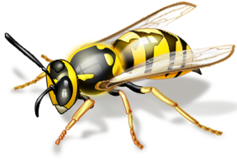 You Can Get Eliminate Wasps With The Right Materials - Bees And Wasps (350x374), Png Download