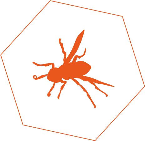 Bee And Wasp Control In Geelong - Wasp (500x500), Png Download