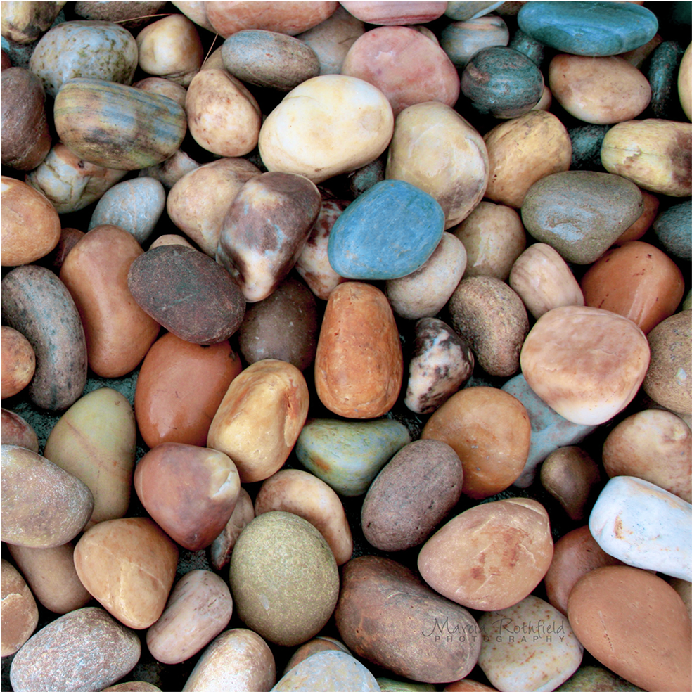 Diversity - Art (1367x1367), Png Download