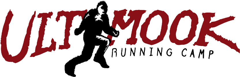 Ultimook Running Camp - Graphic Design (850x277), Png Download