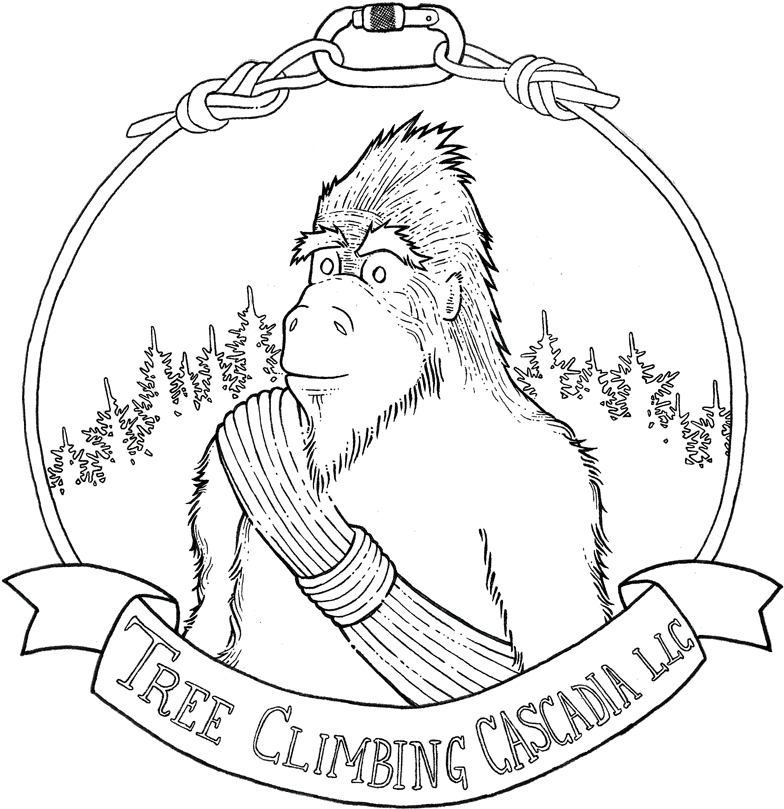 Sasquatch Is A Derivative Of The Word Sásq'ets, From - Young Pirate (800x824), Png Download