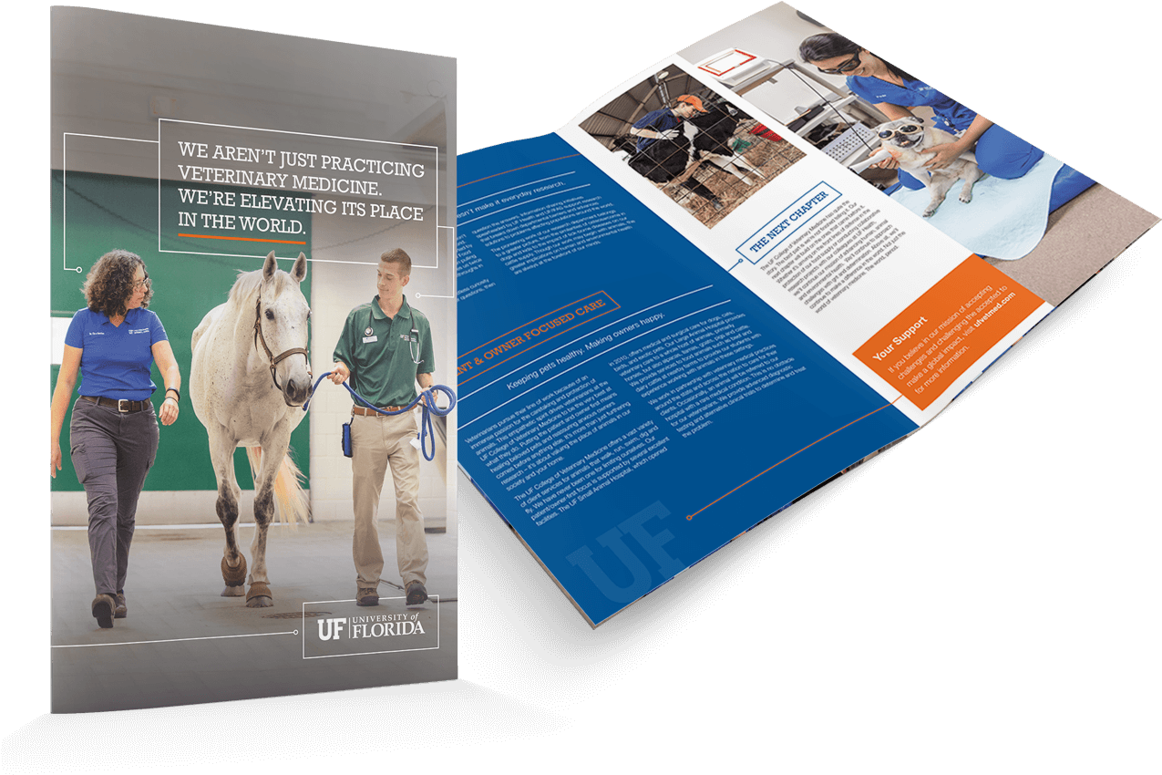 270298 Fmg New Biz Uf Compilation Website Page Ufcvm - Brochure (1300x974), Png Download