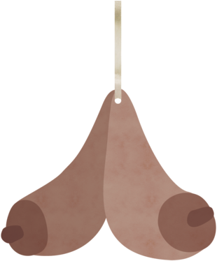 Boob - Wood (480x468), Png Download