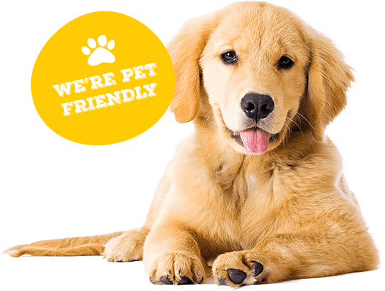 Pet Friendly (541x409), Png Download