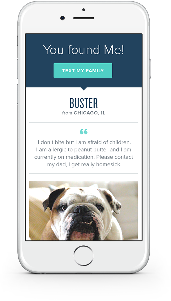 Pet Insurance - Pet (553x974), Png Download