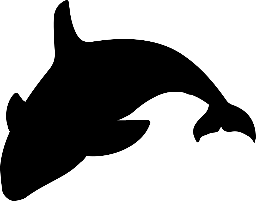 Orca Silhouette Comments - Orca Silhouette (982x772), Png Download