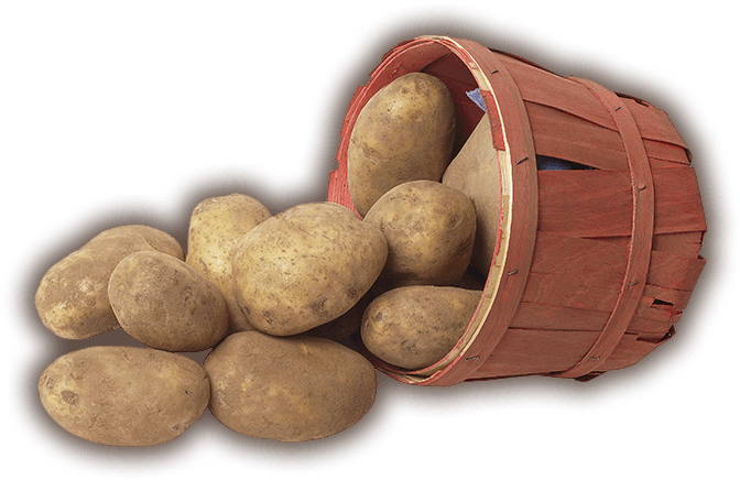 My Upcoming Memoir Frozen Dinners Contains A Chapter - Basket Of Potatoes Transparent (1200x480), Png Download