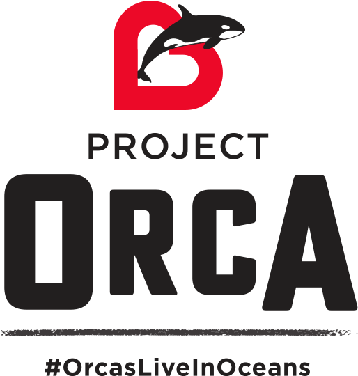 Orcas Project - Managing Project Stakeholders By Tres Roeder (536x560), Png Download