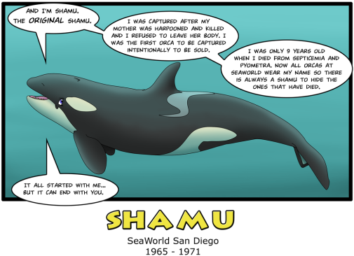 August 23rd - Sad Orcas (534x394), Png Download