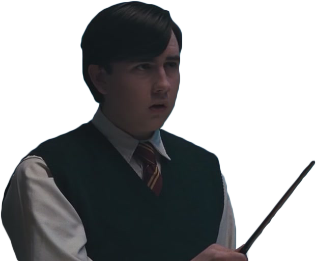 Transparent Neville Longbottom - Neville Harry Potter Png (742x528), Png Download