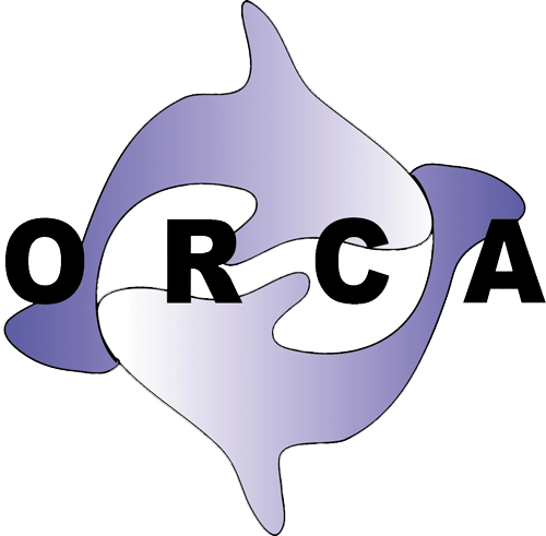 Orca - All Time Low (500x491), Png Download