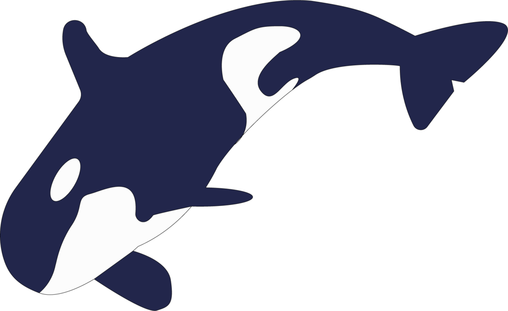 Bézier Curve (1005x616), Png Download