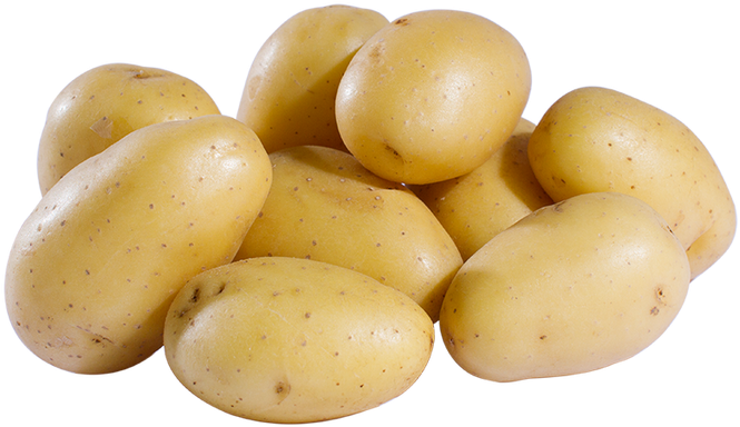 The Potato - Pomme De Terre Blanche (1024x683), Png Download