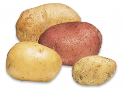 Potatoes - Roots And Tubers Vegetables (400x300), Png Download
