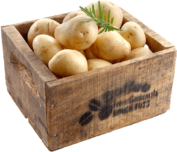 View Certified Potatoes - Russet Burbank Potato (700x685), Png Download