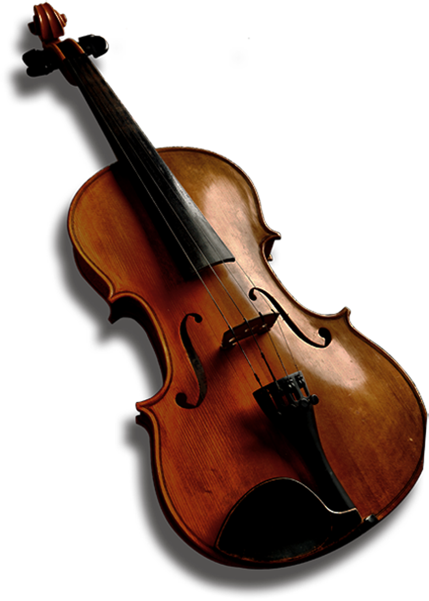 Bass Violin Viola Violone Double Bass - Violin (1593x2117), Png Download