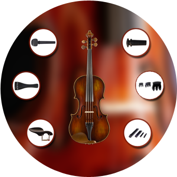 Viola Parts - Viola (400x350), Png Download