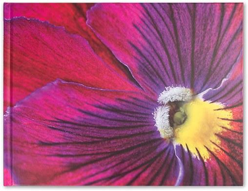 Deluxe Journal - Viola Flower - Shutterstock (545x600), Png Download