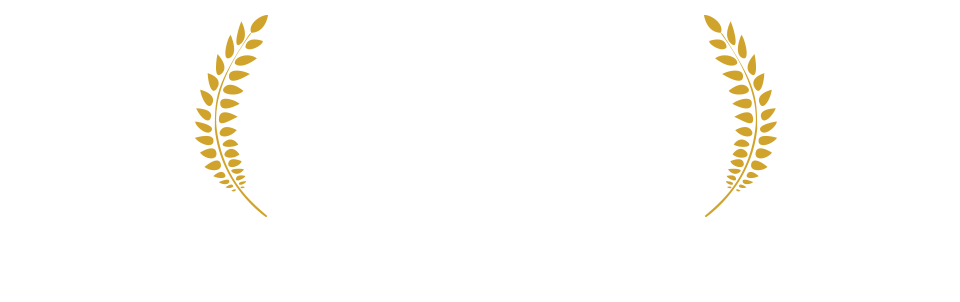 Oscar Nominations And Wins For Films In Competition - 2014 World Championship Of Ping Pong (960x302), Png Download