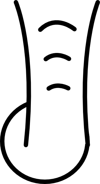 Clipart Free Library Cartoon Clip Art At Clker Com - Black And White Elephant Trunk Clipart (324x594), Png Download
