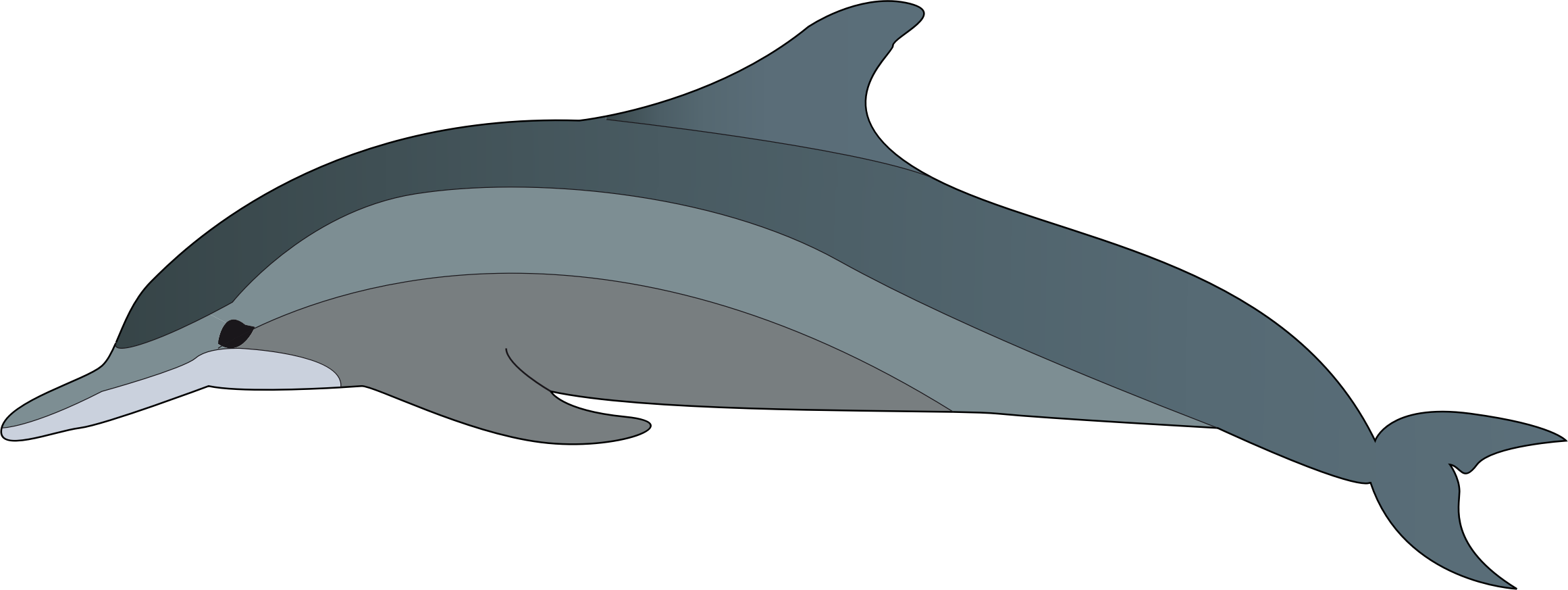 Spinner Dolphin Clipart Dolphin Fish - Bottlenose Dolphin Clipart (2322x873), Png Download