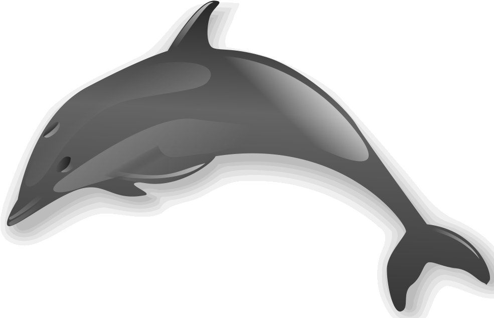 Dolphin 2 - Dolphin Clip Art Transparent (984x646), Png Download