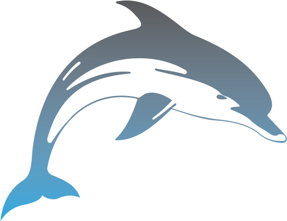 Hawaii Dolphins - Delfin (750x450), Png Download