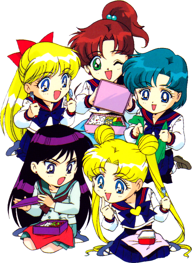 Serena Tsukino, Ami Mizuno, Rei Hino, Lita Kino & Mina - Serena Rei Sailor Moon (732x1000), Png Download
