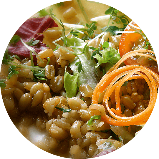 Green Salad Garnished With Green Heart And Carrots - Carrot (540x540), Png Download