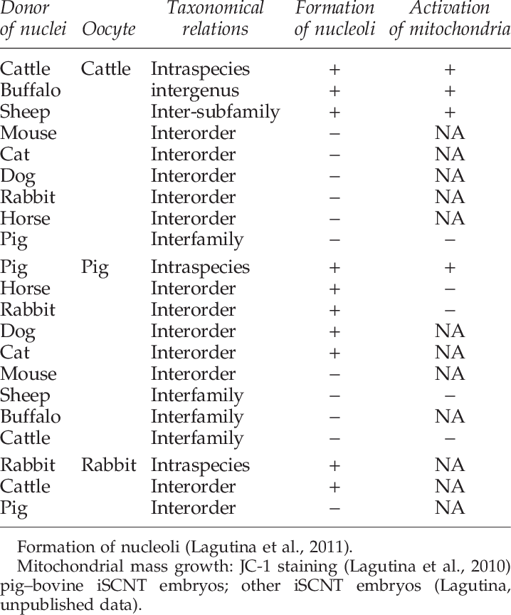 Formation Of Nucleoli And Mitochondrial Mass Growth - Document (718x863), Png Download