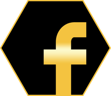 Hex Horus On Facebook - Transparent Circle Logo Facebook Png (446x388), Png Download