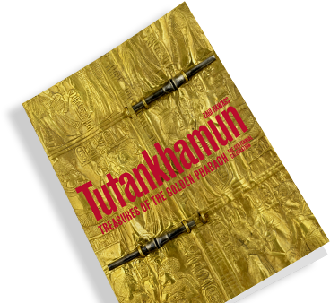 Catalogue - Exhibition (409x342), Png Download