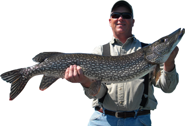 Fisherman With Pike - Fisherman Png (597x405), Png Download