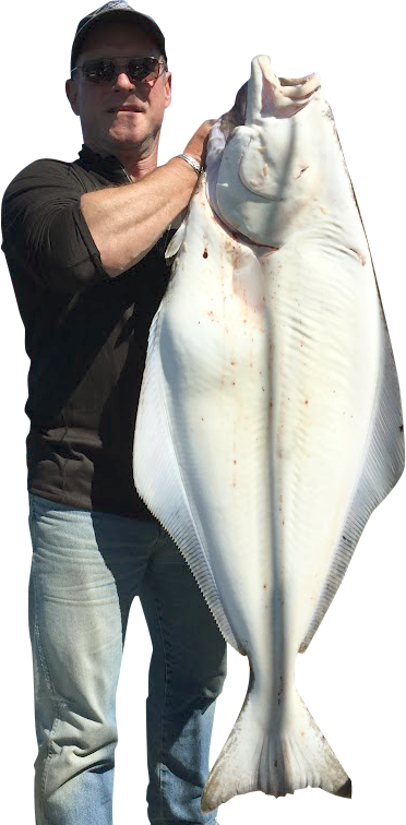 Leave A Reply Cancel Reply - Alaska (372x756), Png Download