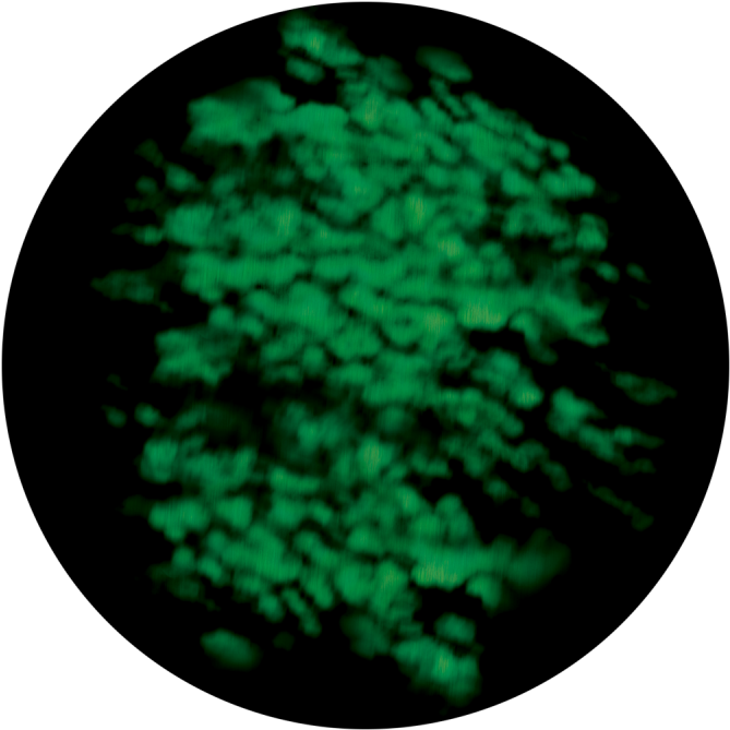 Blur Greens - Glass (800x800), Png Download