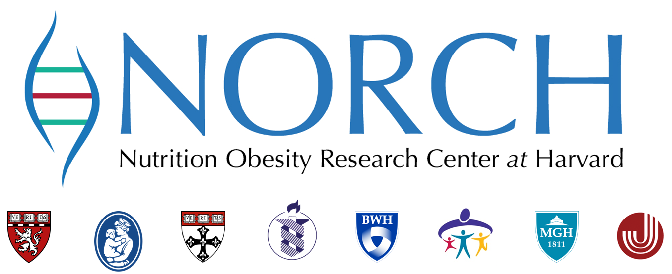 Nutrition Obesity Research Center At Harvard - 40th Birthday Diy Gift (1354x553), Png Download