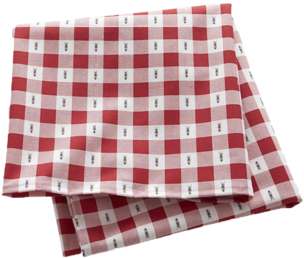 Picnic Blanket Png - Picnic Blanket With Ants (400x400), Png Download